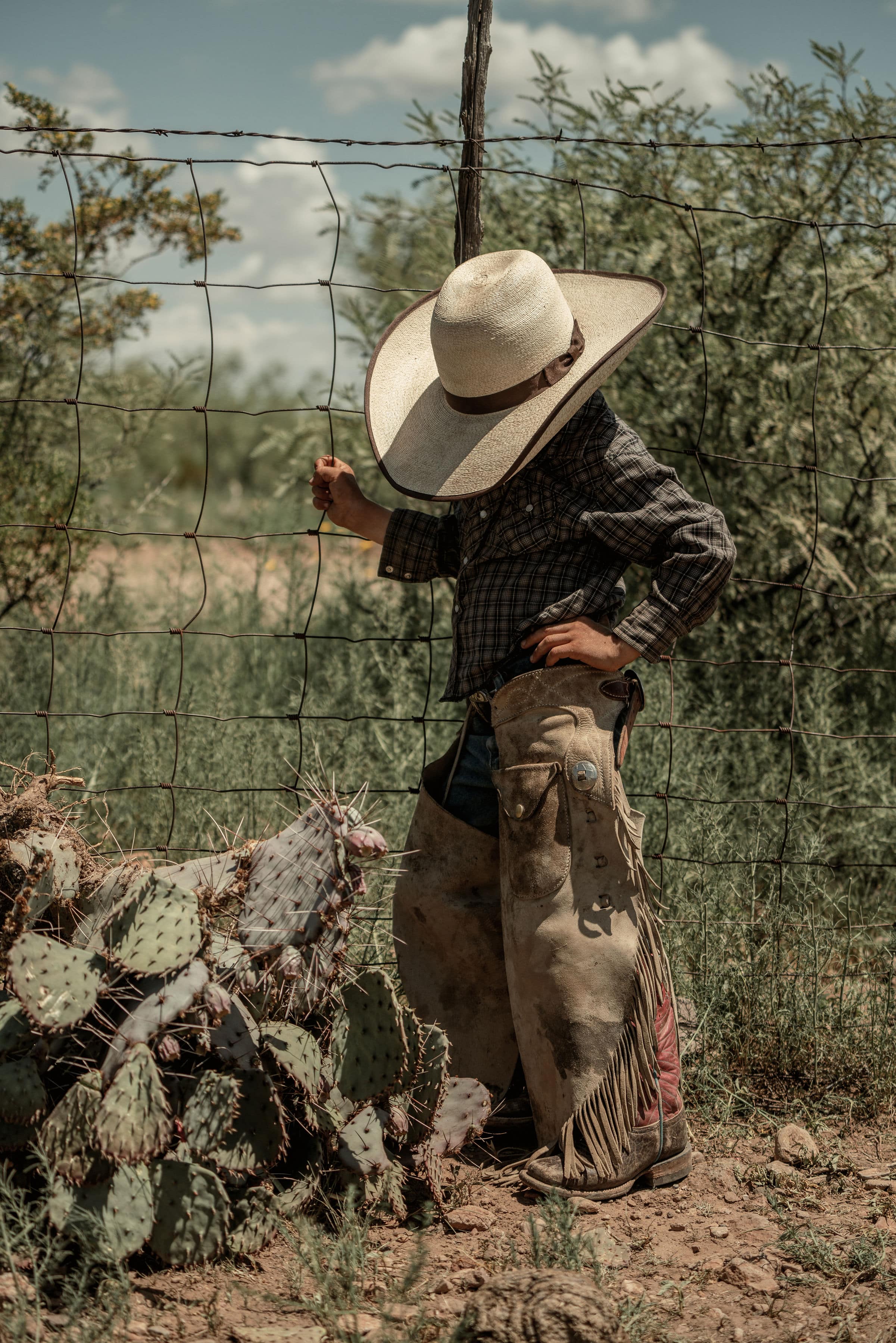 Maverick Palm Straw Hat by Stone Hats